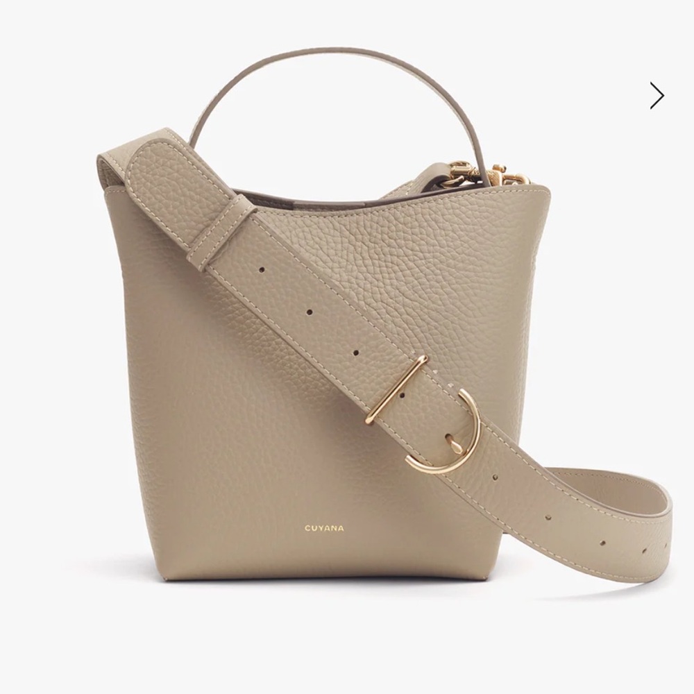 EUC Cuyana Mini Linea Bucket Bag